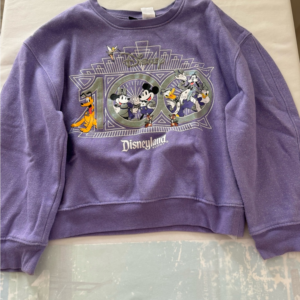 Disney Lavender Sweatshirt
